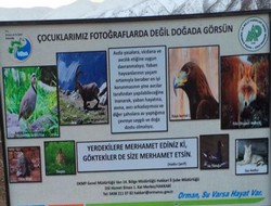 Yaban hayatı koruyalım çağrısı