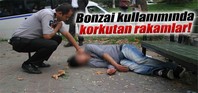 Bonzai kullanımında korkutan rakkam