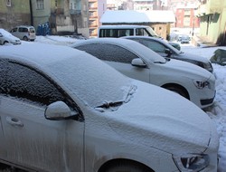 Hakkari'de soğuk hava ve don