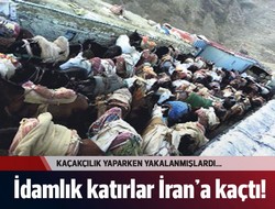 İdamlık katırlar İran'a kaçtı