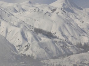 Aç Kurtlar köydeki köpekleri parçaladı