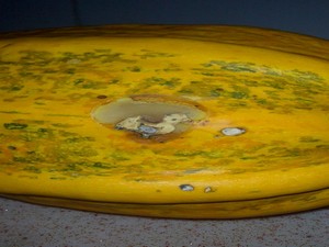 Bebek siluetli bal kabağı