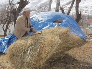 Hakkarili çiftçilerin kuraklık korkusu