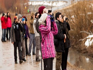 Van gölü havzasında kuş gözlemcileri