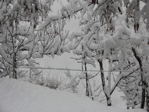 Hakkari'de köy ve mezra yolları kapandı