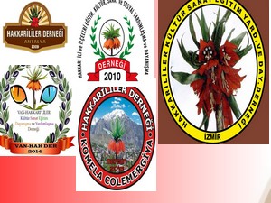 Hakkari’deki dernekler Özgecan için tek yürek oldu