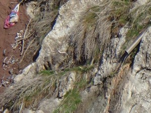 Katremas Deresi kirletiliyor