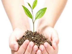 Hakkari'de Orman Haftası etkinlikleri