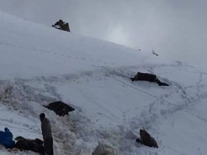 Uludere'de asker ateş açarak 9 katırı öldürüldü