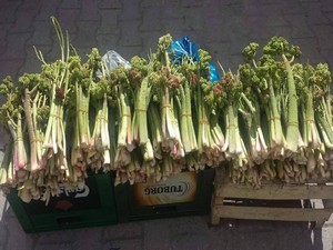 Işgın: Kanser hücrelerini yok ediyor!