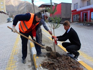 Karayolları ekiplerinden çevre ve yeşillendirme çalışması