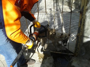 Kapı korkuluğuna sıkışan köpek kurtarıldı