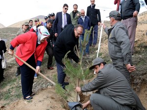 Hakkari'de Savcı Kiraz ve Özgecan için fidan dikildi