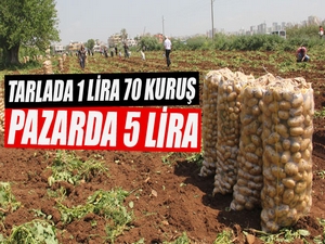 Patates tarlada 1 lira 70 kuruş pazarda 5 lira