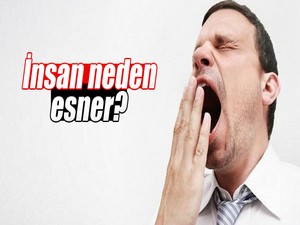 İnsanlar neden esner