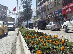 Hakkari Belediyesinden yeşillendirme çalışması