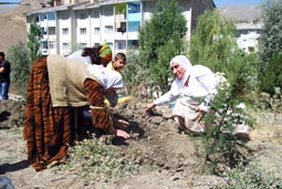 HAKKARİ DE BARIŞ FİDANLARI DİKTİLER