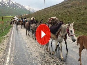 Göçerlerin zorlu yolculuğu
