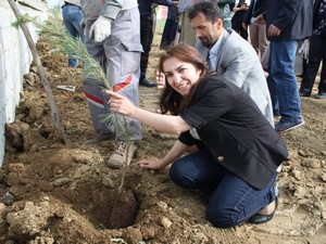 Yüksekova şehitliğine 250 fidan çam fidanı dikildi