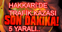 TRAFİK KAZASI 5 YARALI