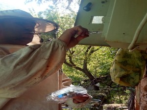 VEDAŞ ekibinin arılarla başı dertte