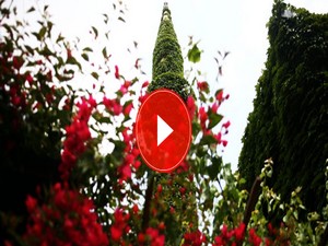 Ramazan Bayramı'nda neler yapmalıyız?