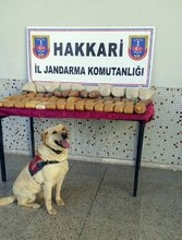 . jandarma ekibi 44 kilo eroin ele geçirdi