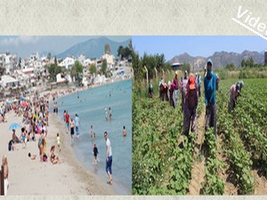 Bir yanda deniz bir yanda ekmek mücadelesi