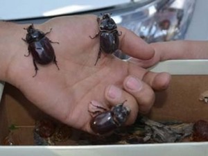 90 bin doları duyan toplamaya başladı!