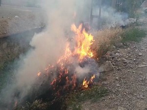 Kuruyan otların alev alması mahalle sakinlerini korkuttu