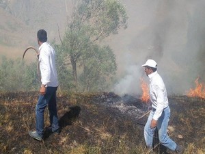 Otluca köyünde korkutan yangın