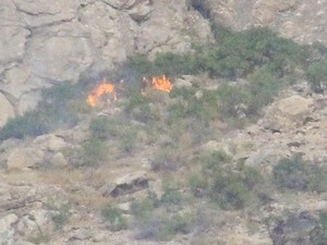 Hakkari’de ağaçlık alanın yakılmasına tepki