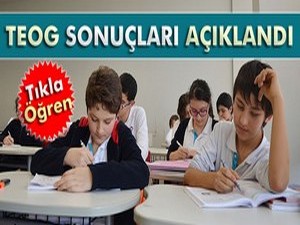 TEOG sonuçları açıklandı!