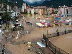 Diyarbakır Belediyesi Eş Başkanı Anlı: Hopa’ya yardıma hazırız