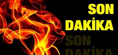 HDP Hakkari milletvekili Zeydan tutuklandı