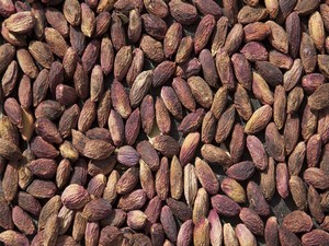 Antep Fıstığı Zayıflatıyor mu?