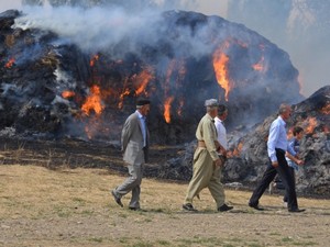 Yüksekova'da 40 bin bağ ot yandı