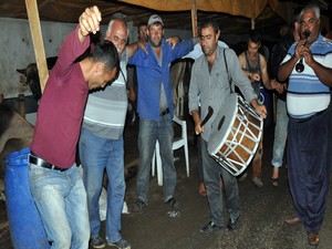 Kurbanlık hayvanların tamamı satılınca halay çektiler