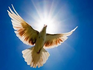 Sivil toplum örgütlerinden “silahları susturun” çağrısı