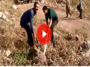 Yiyecek arayan ayı kafasını tenekeye sıkıştırdı