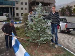 Hakkari'de fidanlar toprakla buluşuyor