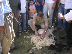 MUHTAR ŞENLİĞE GÖLGE DÜŞÜRDÜ