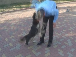 Belediye başkanı sevdiği köpeğin saldırısına uğradı