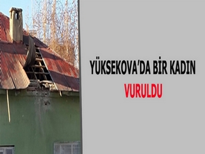 Yüksekova'da bir kadın vuruldu