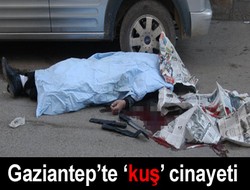 Kuş yüzünden cinayet işlendi