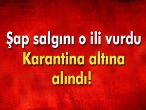 Aksaray'da şap hastalığı