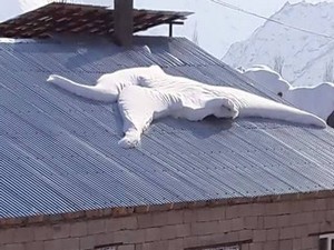 Hakkari'de şaşırtan hayvan figürü