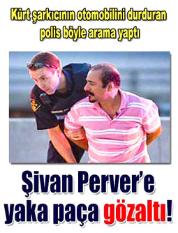 ŞİVAN PERVER GÖZALTINA ALINDI