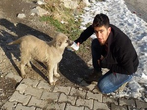 Kar ve soğuk hava sokak hayvanlarını vurdu