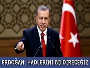 Erdoğan: Hadlerini bildireceğiz